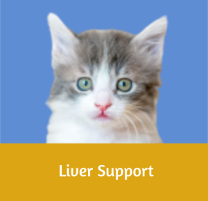 Liver Support
