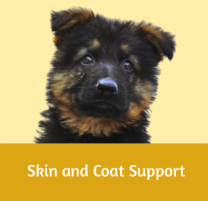 Skin and Coat Support