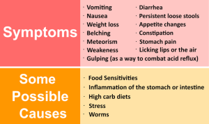 Dog Sensitive Stomach