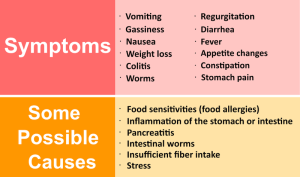 Cats Sensitive Stomach