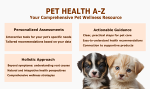 banner-pet-health-az-0