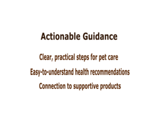 banner-pet-health-az-guidance-001