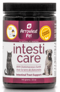 Intesti Care