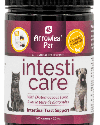 Intesti Care